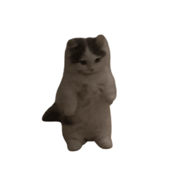 Cat brown.png